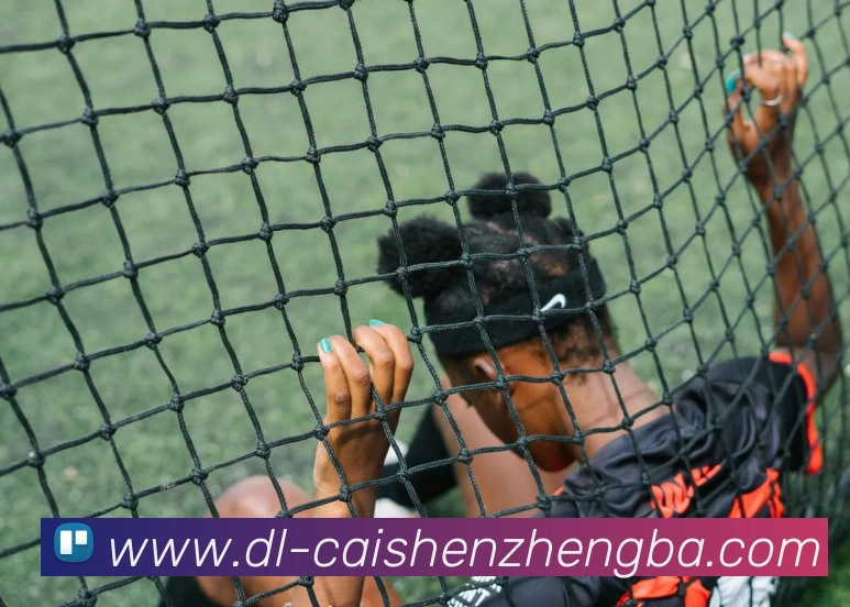 彩神争霸APP 封面图